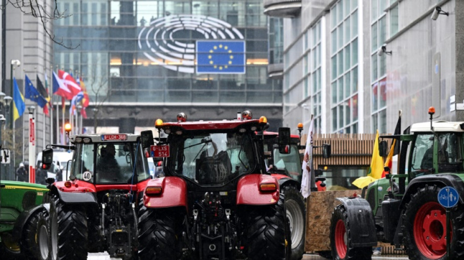 EU eyes stricter food import rules in agriculture policy review