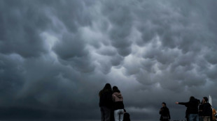 Les météorologues, nouvelle cible de la désinformation climatique