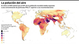 Las olas de calor generan una "poción diabólica" de contaminantes, alerta la ONU