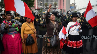 Peru: timeline of unrest since 'first poor president' ousted 