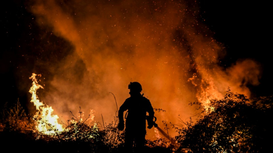 Forest fires rage in scorching southwest Europe