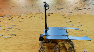 La mission ExoMars tente de renaître de ses cendres