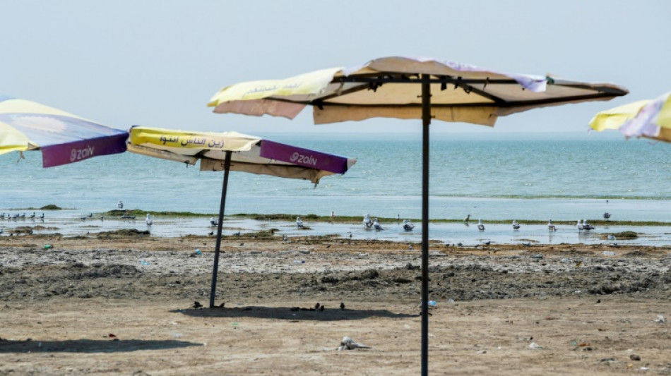 Naguère destination estivale, le lac irakien d'Habbaniyah est devenu une "mare"