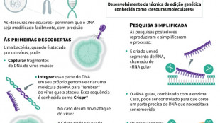 EUA autoriza primeiro tratamento com tesouras moleculares Crispr