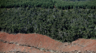 Au Brésil, la déforestation ravage aussi la Forêt atlantique 