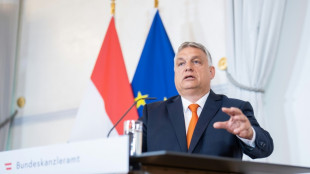 "Mélange des races": Orban défend "un point de vue culturel", Washington condamne