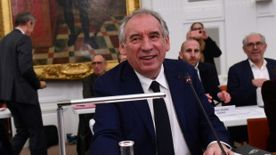 Entre la crise à Mayotte et Pau, Bayrou consulte et compose son gouvernement