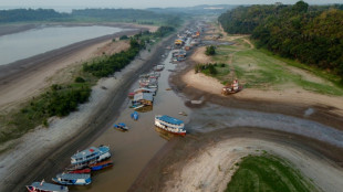 Planeta registra 12 meses seguidos de temperatura 1,5ºC acima da era pré-industrial