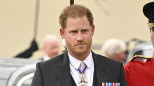 Princes Harry, Andrew benched on third row at coronation