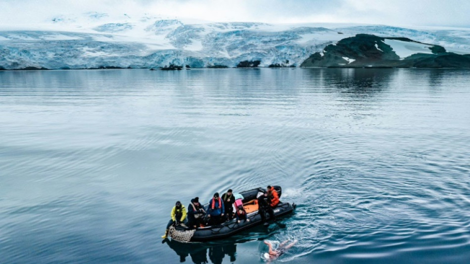 Fear the biggest rival: first person to complete Antarctic 2.5 km swim