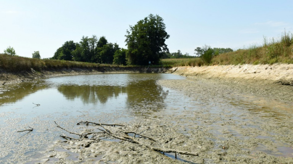 Quotas, tarifs progressifs de l'eau, irrigation raisonnée, des pistes pour préserver l'eau