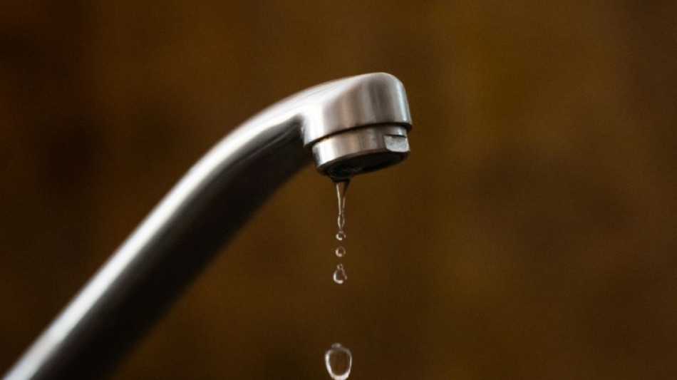 Govt mulls rescue of UK's biggest water supplier