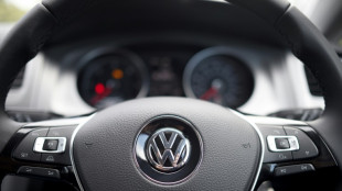 New Volkswagen boss eyes tapping the brakes on software drive