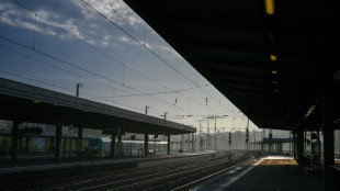 Strike brings rail traffic to a halt in Germany