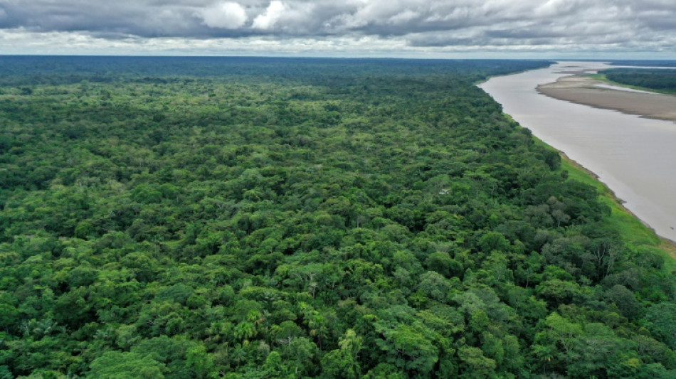 Which is longer, Amazon or Nile? New quest aims to settle old debate