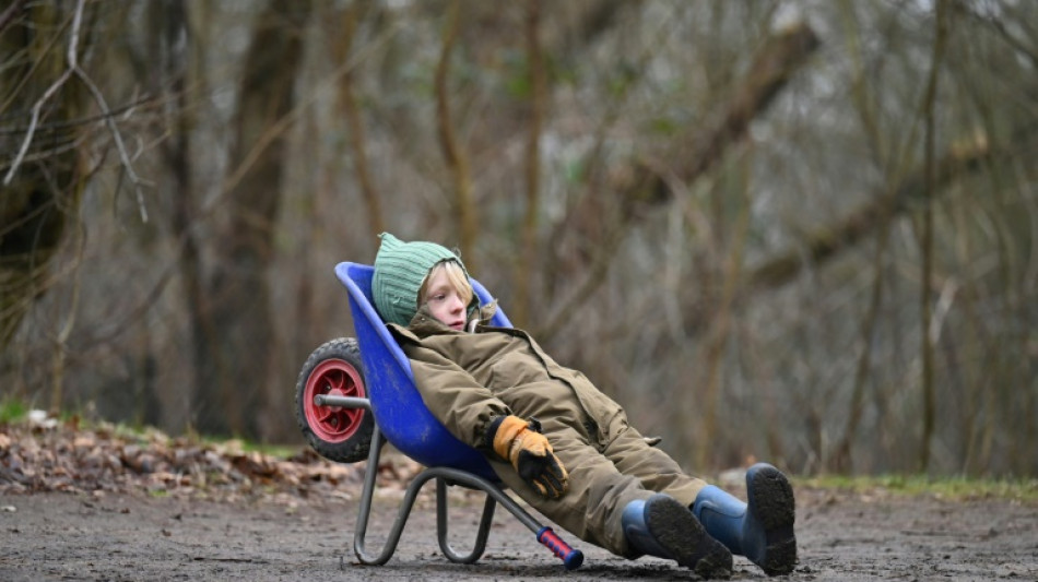 Wild education: the joy of Scandinavia's forest preschools