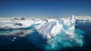 Antarctic sea ice rebounds from record lows: US scientists