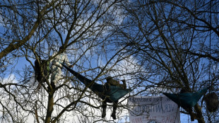 Allemagne: la police encercle des militants anti-charbon retranchés dans un village