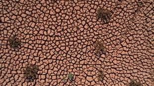 IPCC dringt auf Kampf gegen Klimakrise für Erhalt von "lebenswerter" Erde