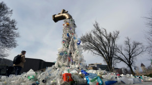 US to phase out federal purchase of single-use plastics