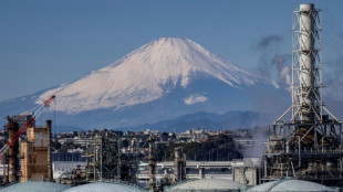 Japon: la croissance s'effondre à 0,1% en 2024, malgré un sursaut au 4e trimestre