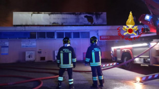 Incendio nella notte all'Ortomercato di Milano