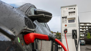 Denkfabriken: E-Autoförderung sollte sich am Einkommen orientieren