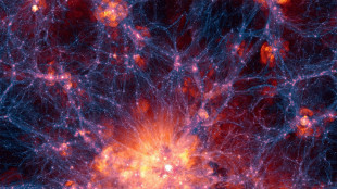 Ricostruita l'origine violenta dei nomadi cosmici