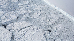 Antarctic sea ice hits lowest winter maximum on record: US data