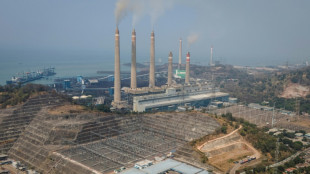 Indonesia industrial coal power plans undercut emissions pledge: report