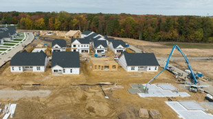 US new home sales rise more than expected in March