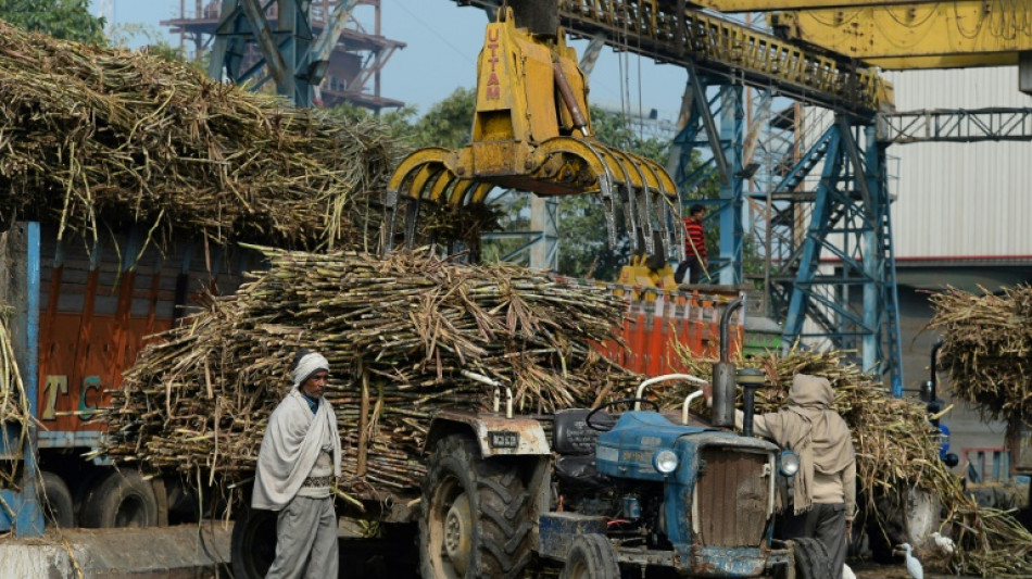 Après le blé, l'Inde restreint l'exportation de sucre