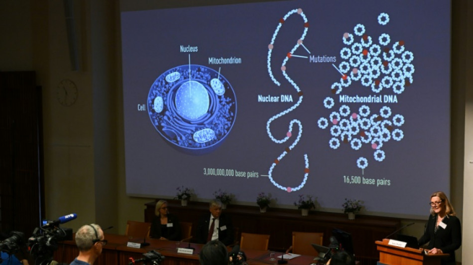 Nobel de Medicina: los galardonados en los diez últimos años