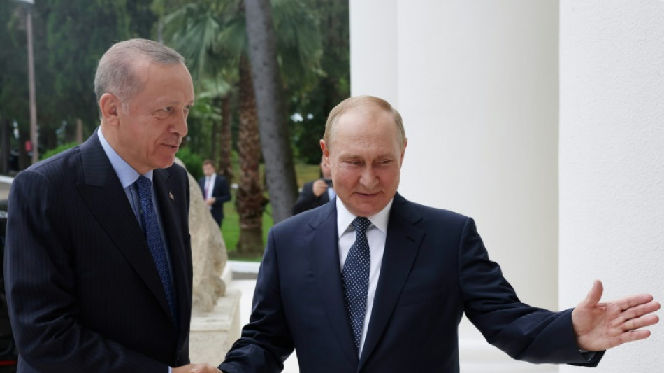 Acuerdo de Putin y Erdogan para mejorar cooperación económica y energética