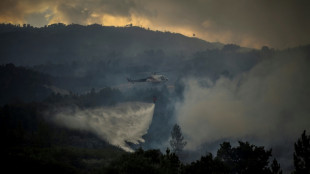 Portugal lucha para controlar un gran incendio en un parque natural