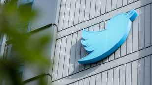 Twitter mass layoffs begin as Musk launches overhaul