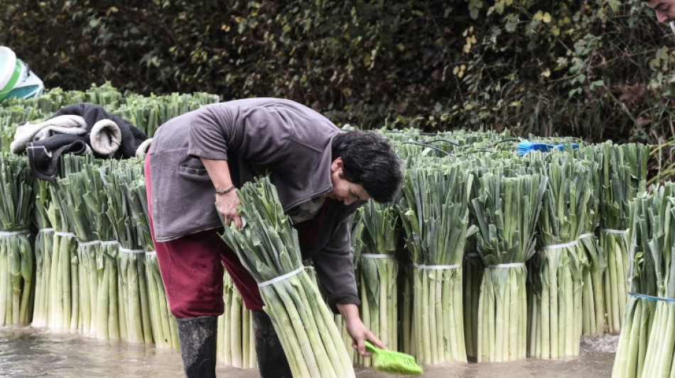 'Keeping it fresh': Greek growers use nature to clean crops