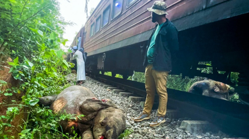 Trem colide com grupo de elefantes e descarrila no Sri Lanka