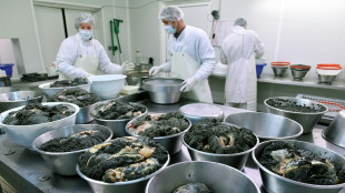 Science et transparence au service du caviar made in France