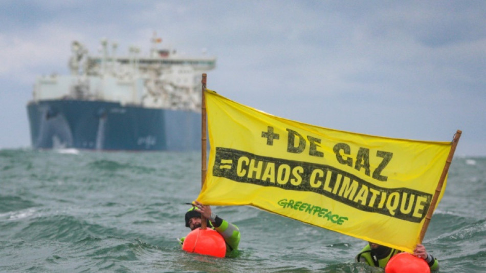 Le Havre: Greenpeace tente en vain d'empêcher l'arrivée du terminal méthanier