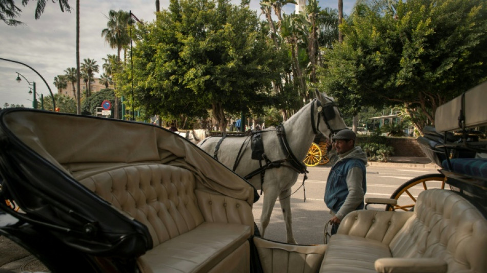 Spanish tourist hotspot Malaga to ban horse-drawn carriages