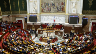 Retraites: la réforme dans l'arène de l'Assemblée, sous la pression de la rue