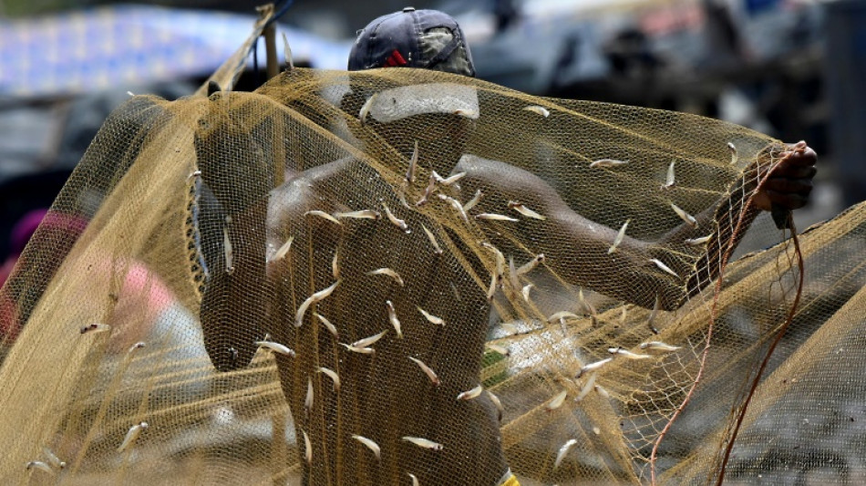 Abondance de poissons mais pêche impossible au Sri Lanka faute de carburant