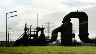 Dutch to shut Europe's biggest gas field after quakes