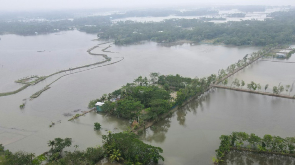 Au Bangladesh, le cyclone Remal a mis en danger l'habitat des tigres du Bengale 
