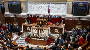 Le budget définitivement adopté, au bout de dix 49.3