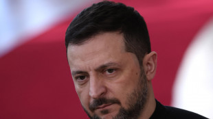 Zelensky, 'vogliamo la pace, che non c'è per colpa di Mosca'